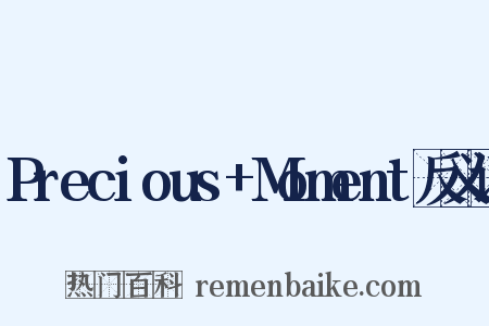 Precious+Moment反义词是什么意思的图片